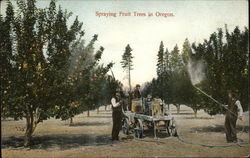 Spraying Fruit Trees in Oregon Spraying Fruit Trees in Oregon