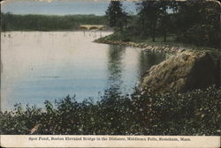 Spot Pond, Boston Elevated Bridge in the Distance, Middlesex Fells Postcard