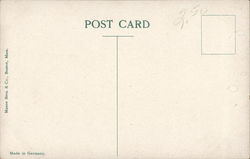 back