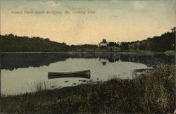 Adams Pond Looking West Postcard