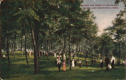 Among the Trees at Big Island Park Postcard