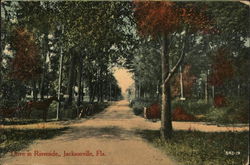 Drive in Riverside Jacksonville, FL Postcard Postcard Postcard
