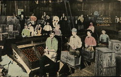 Packing Oranges Postcard