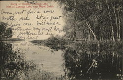 Conesus Lake Maple Beach, NY Postcard Postcard Postcard