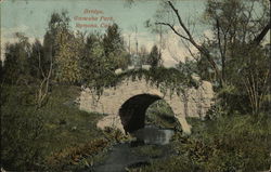 Bridge in Ganesha Park Postcard