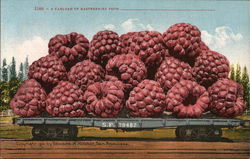 Carload of Raspberries Carload of Raspberries