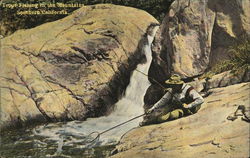 Trout Fishing in the Mountains, Southern California Trout Fishing in the Mountains, Southern California