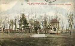 City Park Gibson City, IL Postcard Postcard Postcard