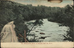 The Willowemoc River Roscoe, NY Postcard Postcard Postcard