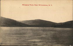 Monguap Pond Willowemoc, NY Postcard Postcard Postcard