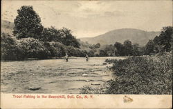 Trout Fishing in the Beaverkill River Roscoe, NY Postcard Postcard Postcard