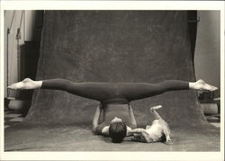 Cat Yoga III by Nova Anya Nyberg Photographic Art