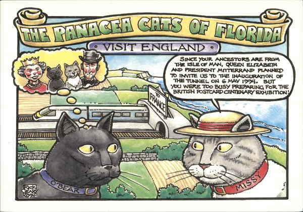 The Panacea Cats of Florida Visit England