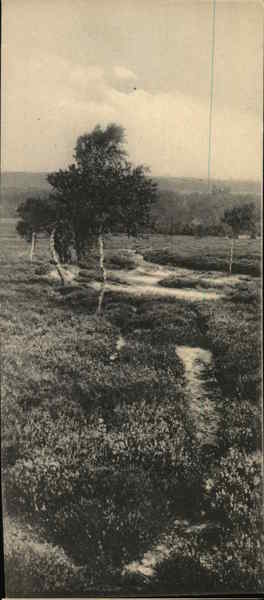 Stream Through Field Scenic