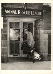 Animal Rescue League Postcard