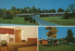 Lark Motel Postcard