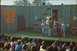 Animal Actors Training Stage - Universal Studios Animal Actors Training Stage - Universal Studios