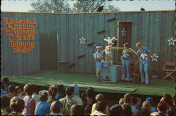 Animal Actors Training Stage - Universal Studios Postcard