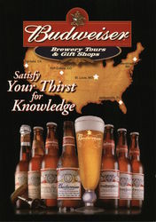 Budweiser Beer Postcard