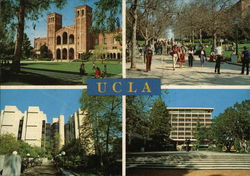 Home of the Bruins Postcard