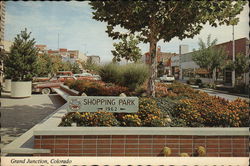 Shopping Park Postcard