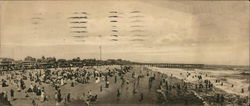 View of the Beach Ocean Grove, NJ Postcard Postcard Postcard