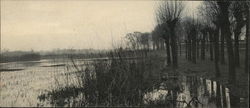 Flooded Field Postcard Postcard Postcard