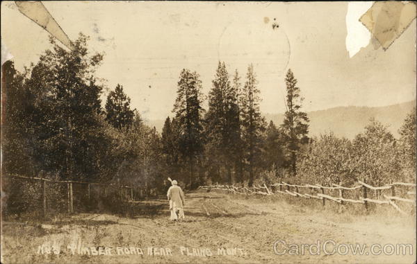 Timber Road Plains Montana