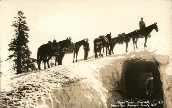 Snow Tunnel - June 16th - Salmon Mts. Forks of Salmon California