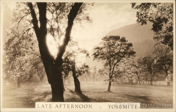 Late Afternoon Yosemite National Park