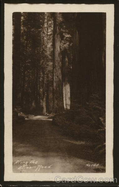 Along the Elinor Road Arcata California