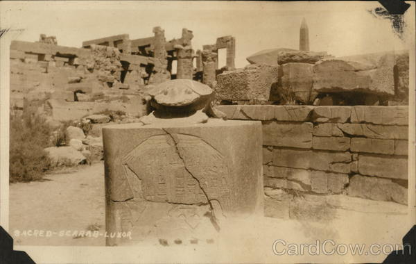 Sacred-Scarab-Luxor Egypt Africa