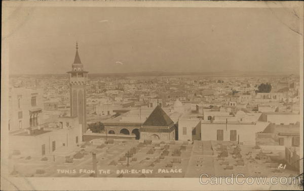 Tunis From the Bar-El-Bey Palace Tunisia Africa
