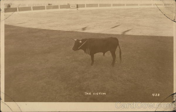 Bull: The Victim Cows & Cattle