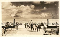 View of Beach Postcard