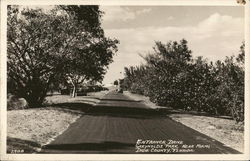 Greynolds Park - Entrance Drive Miami, FL Postcard Postcard Postcard