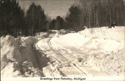 Snowy Greetings Petoskey, MI Postcard Postcard Postcard