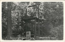 Old Gallows Postcard