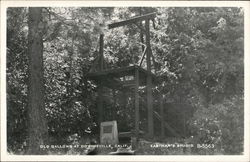 Old Gallows Downieville, CA Postcard Postcard Postcard