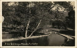 Verdugo Woods Estates Postcard