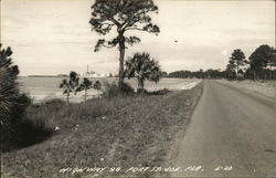 Highway 98 Port Saint Joe, FL Postcard Postcard Postcard