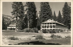 Hotels in Park Postcard