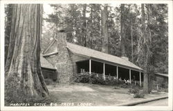 Mariposa Grove Big Trees Lodge Mariposa Grove Big Trees Lodge