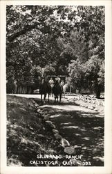 Silverado Ranch Calistoga, CA Postcard Postcard Postcard