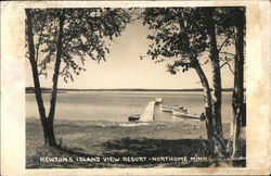 Newton's Island View Resort Northome, MN Postcard Postcard Postcard