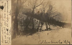 Snowy Scene Snowy Scene