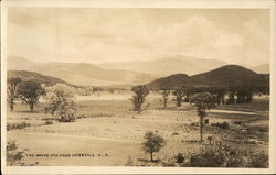 The White Mountains in Distance Postcard