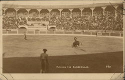 Placing the Banderillas Postcard