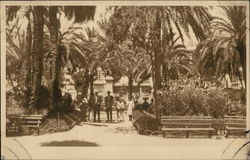 A Cadiz Park Postcard