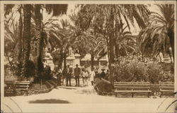 A Cadiz Park Spain Postcard Postcard Postcard